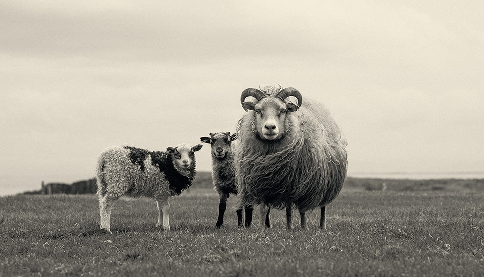 ［ISHITAYA］眠りの体験会