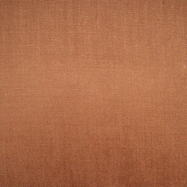 グレイマウス　シナモン