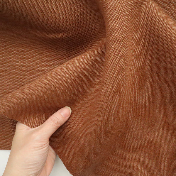 グレイマウス　シナモン