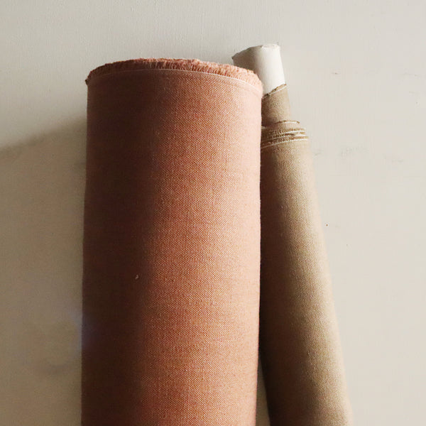 グレイマウス　シナモン