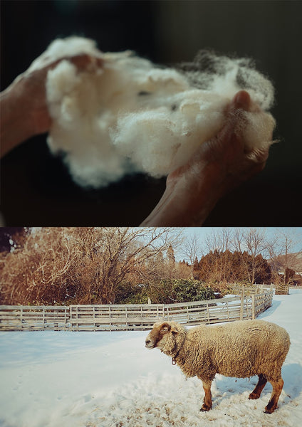 【二子玉川(東京)】TÜP WOOLLEN MILLS 手紡ぎワークショップ 「ひつじの毛から糸が生まれるまで」